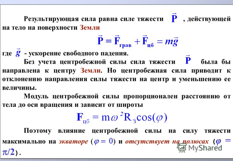 Чему равна сила тяжести слона