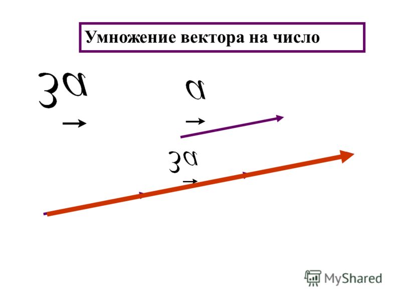 Умножение вектора на число 10 класс