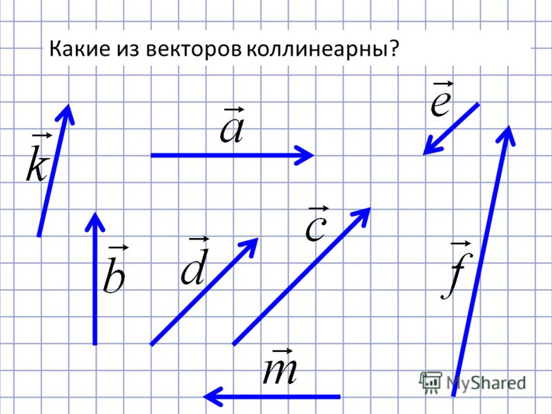 Равные векторы коллинеарны. Картинки вектор. Коллинеарные векторы рисунок. Изображение коллинеарных векторов. Неколлинеарные векторы примеры.