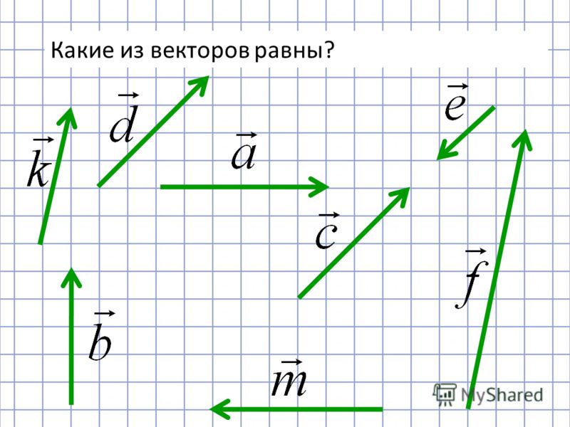 Равные векторы коллинеарны