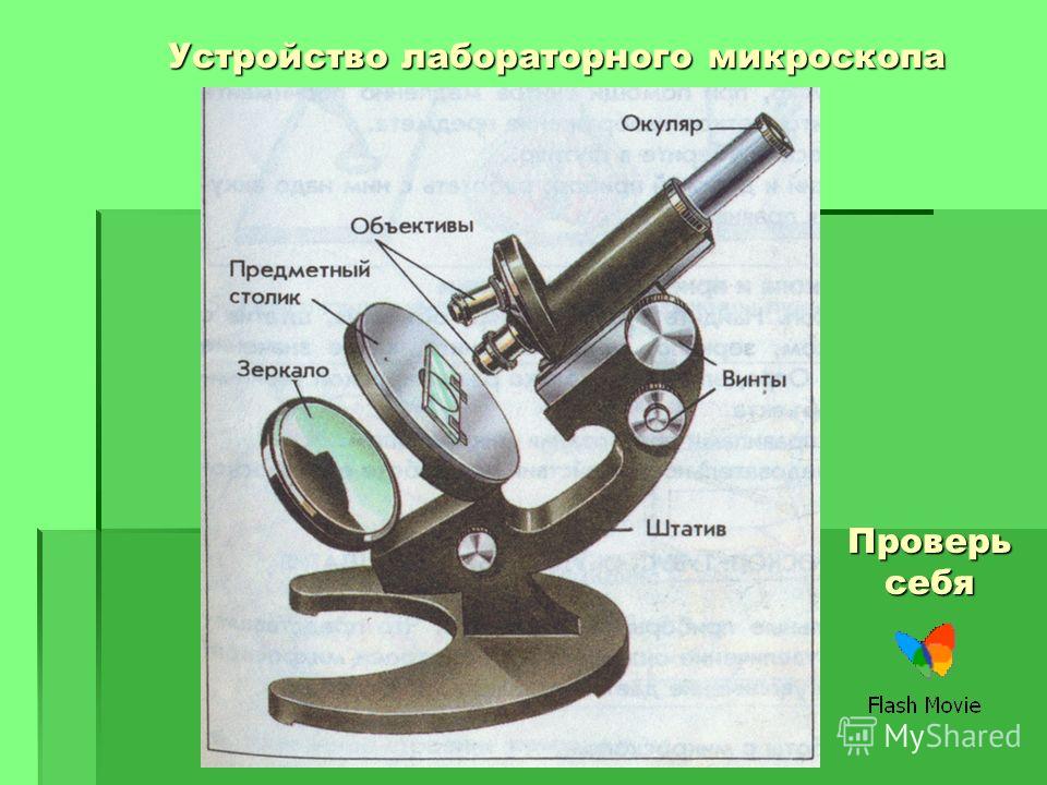 Лабораторная работа с микроскопом. Строение лабораторного микроскопа. Микроскоп лабораторный конструкция. Части микроскопа и их Назначение. Принцип работы микроскопа.