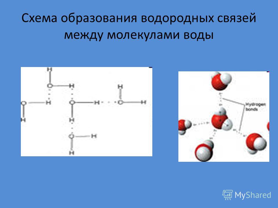 Водородные связи между молекулами вещества