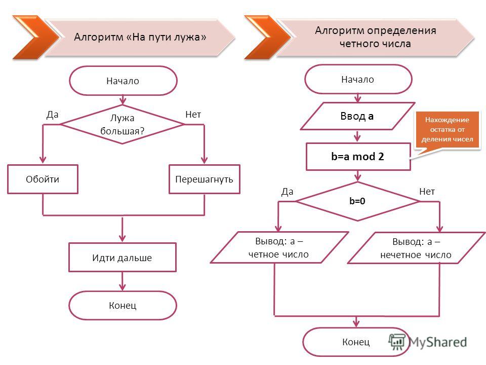 Образец алгоритма работы