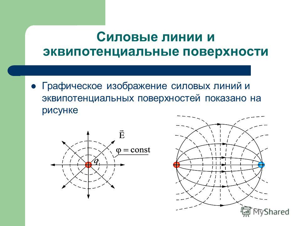 Эквипотенциальные поверхности электрического поля диполя представлены на рисунке