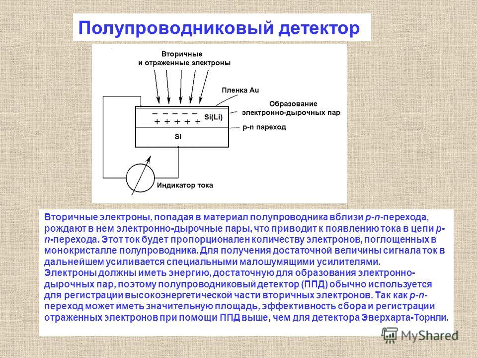 Состав детектора