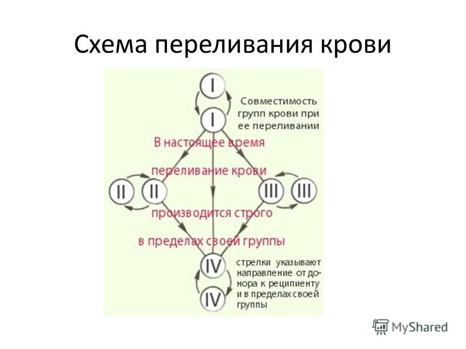 Составьте схему возможных. Группы крови схема переливания крови резус-фактор. Схема переливания групп крови. Схема переливания крови 8 класс биология. Схема переливания крови у человека.