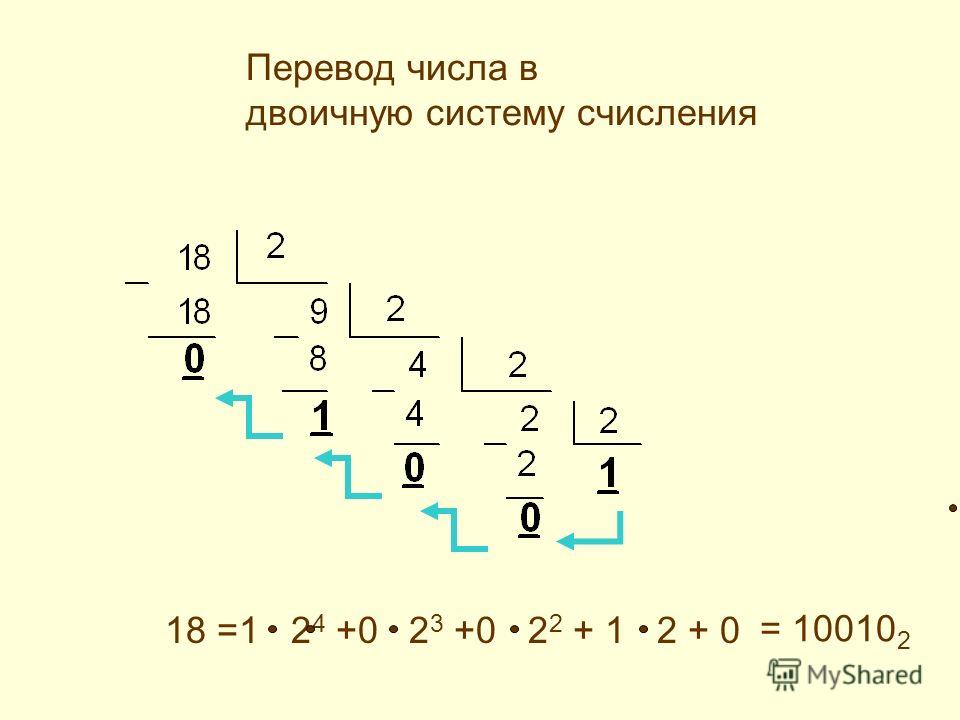 3 перевести в двоичную систему счисления. Двоичная система. Двоичные числа. Двойка в двоичной системе. 1 В двоичной системе.