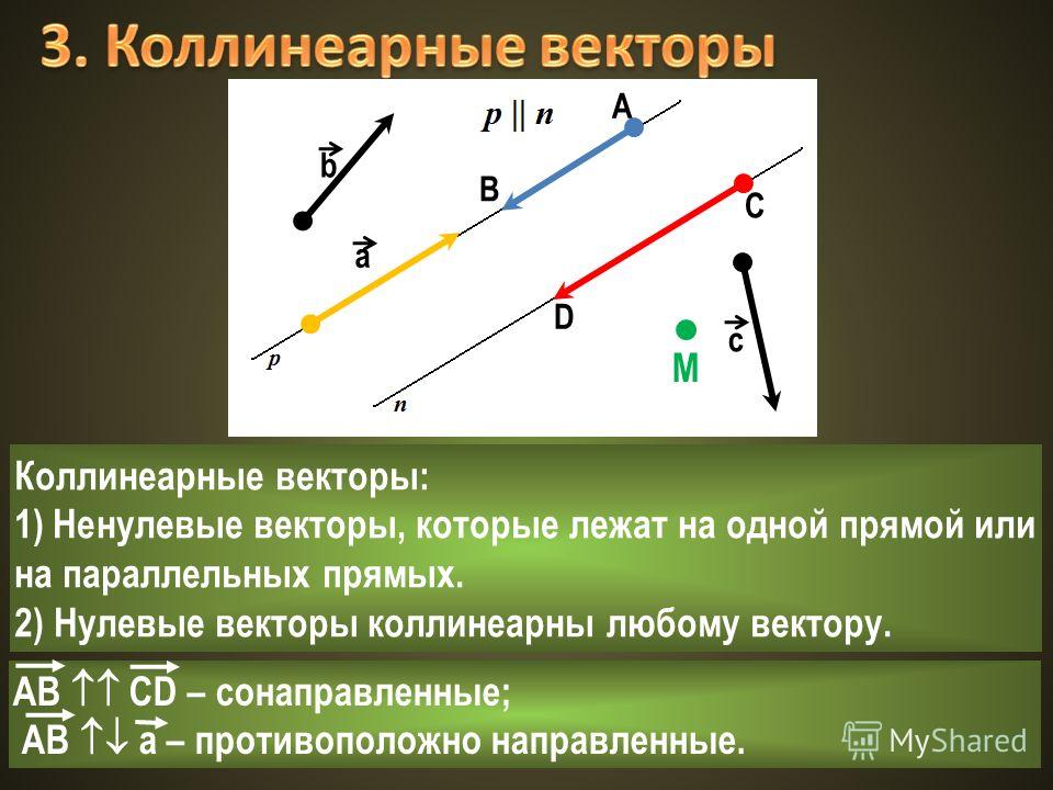 Вектор 1 2 коллинеарен векторам