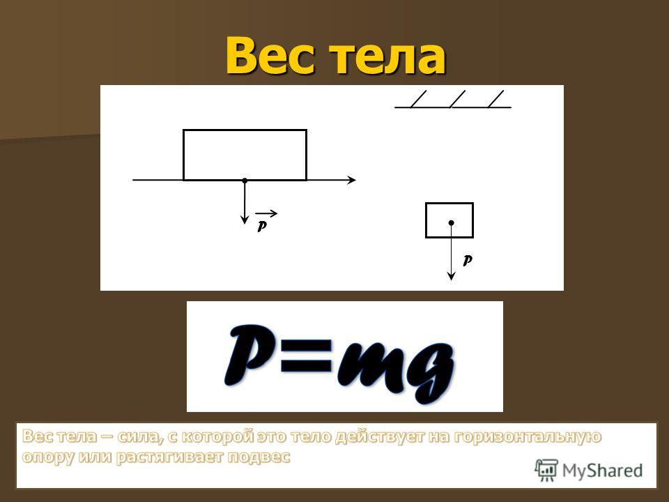 Определите вес тела массой 43 кг