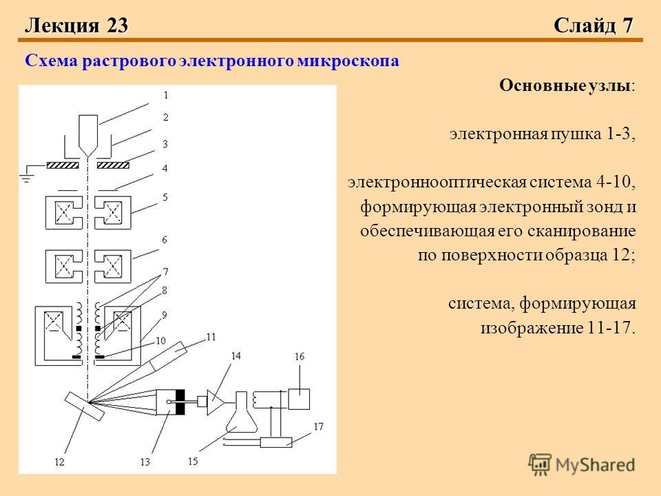 Схема электронного микроскопа