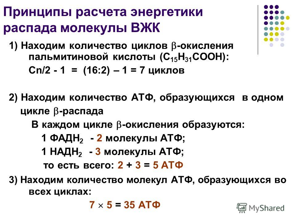 Объем 1 молекулы. Энергетический эффект окисления пальмитиновой кислоты. Расчет АТФ при окислении жирных кислот. Количество циклов бета окисления. Сколько АТФ образуется при полном окислении.