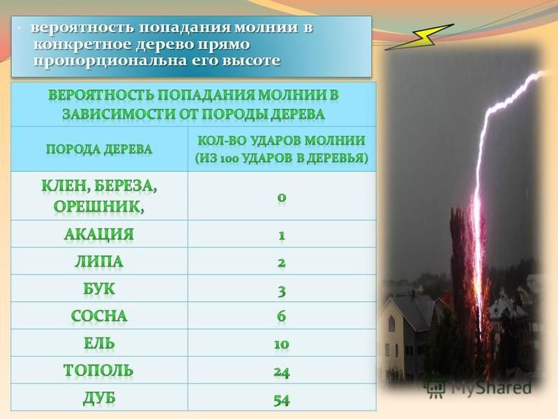 Вероятность удара молнии. Вероятность попадания молнии в дерево. Наибольшая вероятность попадания молнии в деревья. Таблица вероятности попадания молнии в дерево. Вероятность попадания молнии в дом.