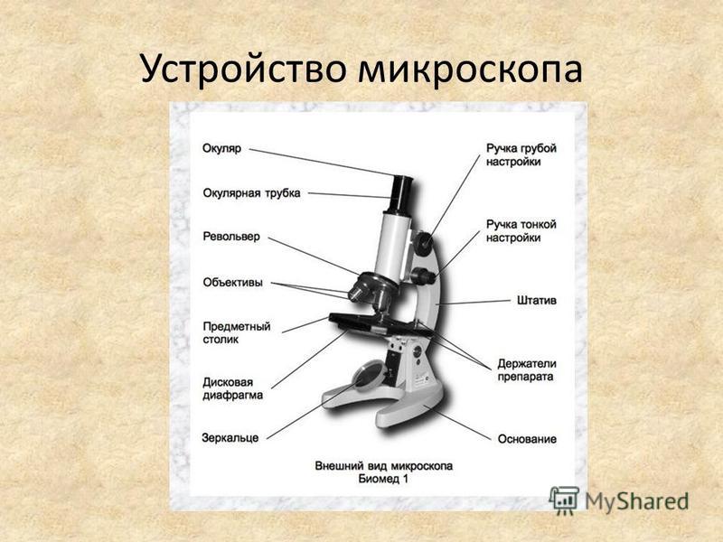 Как пользоваться микроскопом