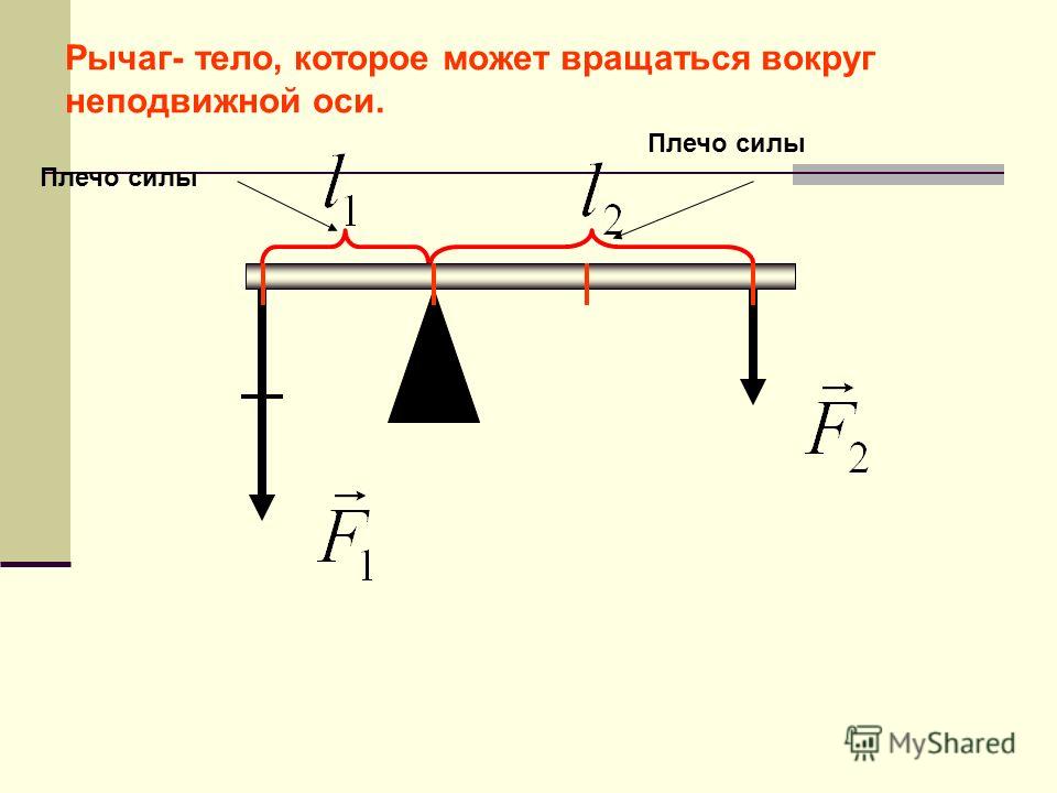 Укажите на приведенных схемах рычагов плечи сил действующих на каждый из них