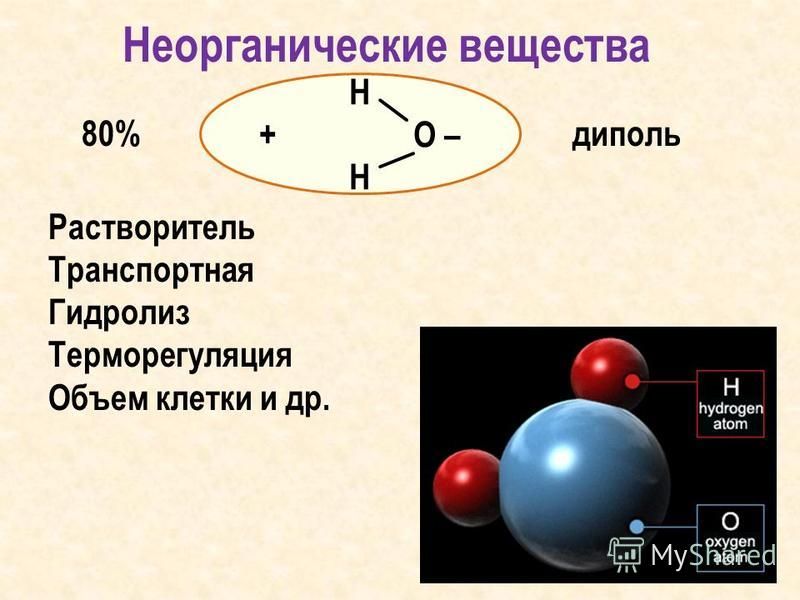 Диполь диэлектрики