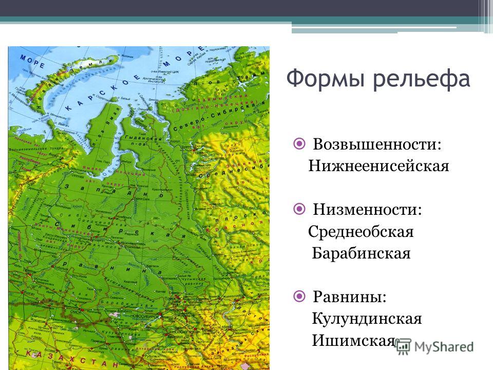 В какой стране находится западно сибирская равнина. Формы рельефа Западно сибирской равнины. Формы рельефа Западно сибирской равнины на карте. Западная Сибирь Барабинская низменность. Возвышенности Западно сибирской равнины.