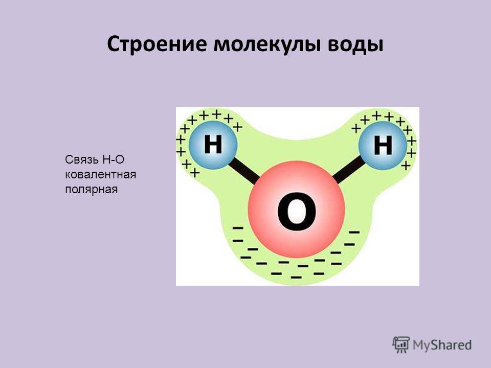 Молекула воды схема