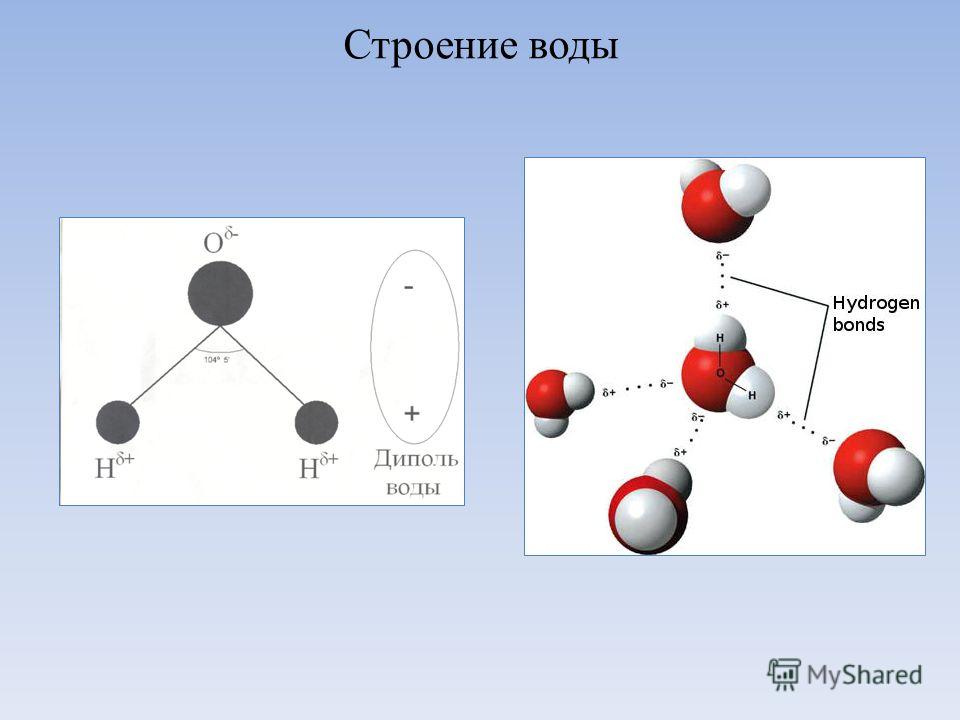 Вода какое строение. Дипольное строение молекулы воды. Структура воды диполь. Структура молекул воды диполь. Строение воды диполь.