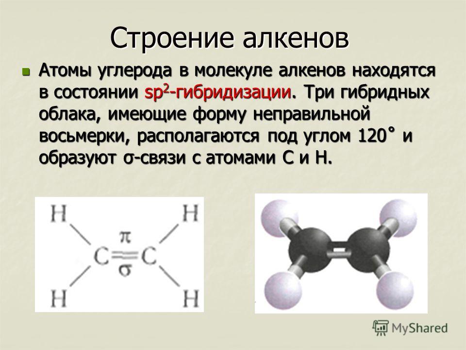 Четыре атома углерода формула. Строение алкенов на примере этилена. Алкены особенности строения молекул. Электронное строение молекулы Алкены. Строение молекул алкенов кратко.