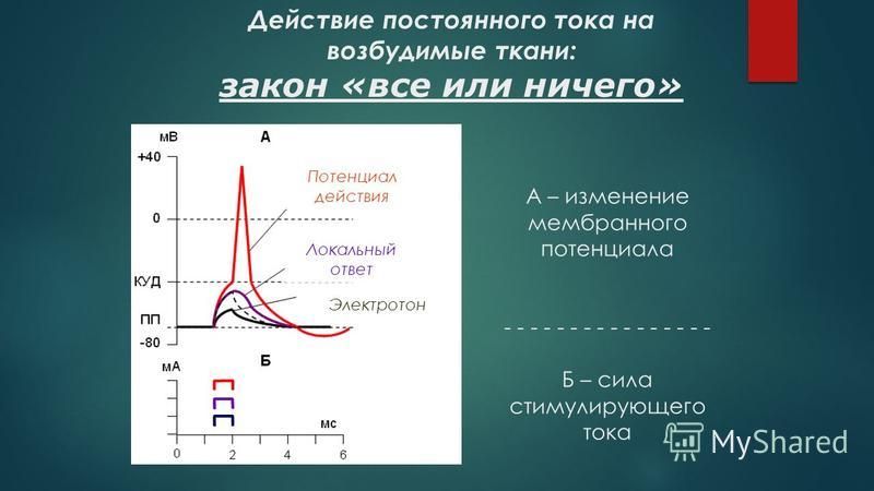 Влияние постоянных. Закон все или ничего график. Закон действия постоянного тока. Действие постоянного тока на возбудимые ткани. Законы действия постоянного тока на возбудимые ткани физиология.