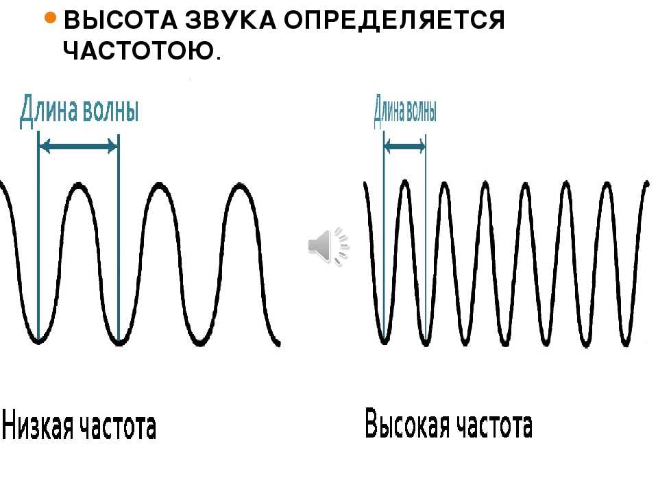 Звуковые волны определенной частоты. Высота звука. Высота тона звука определяется. Высота звука это в физике. Частота и высота звука.
