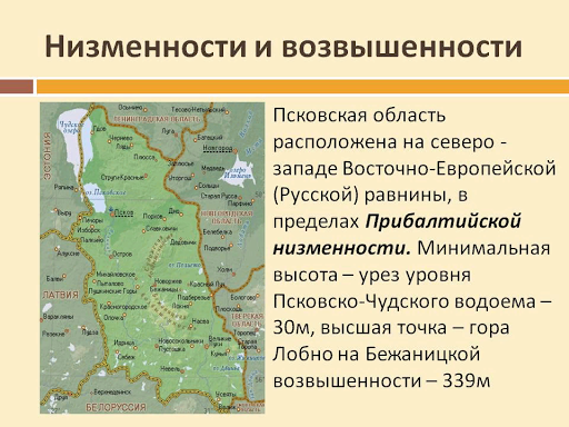 Возвышенности восточно европейской равнины. Псков рельеф. Низменности Псковской области. Возвышенности Псковской области. Рельеф Псковской области.