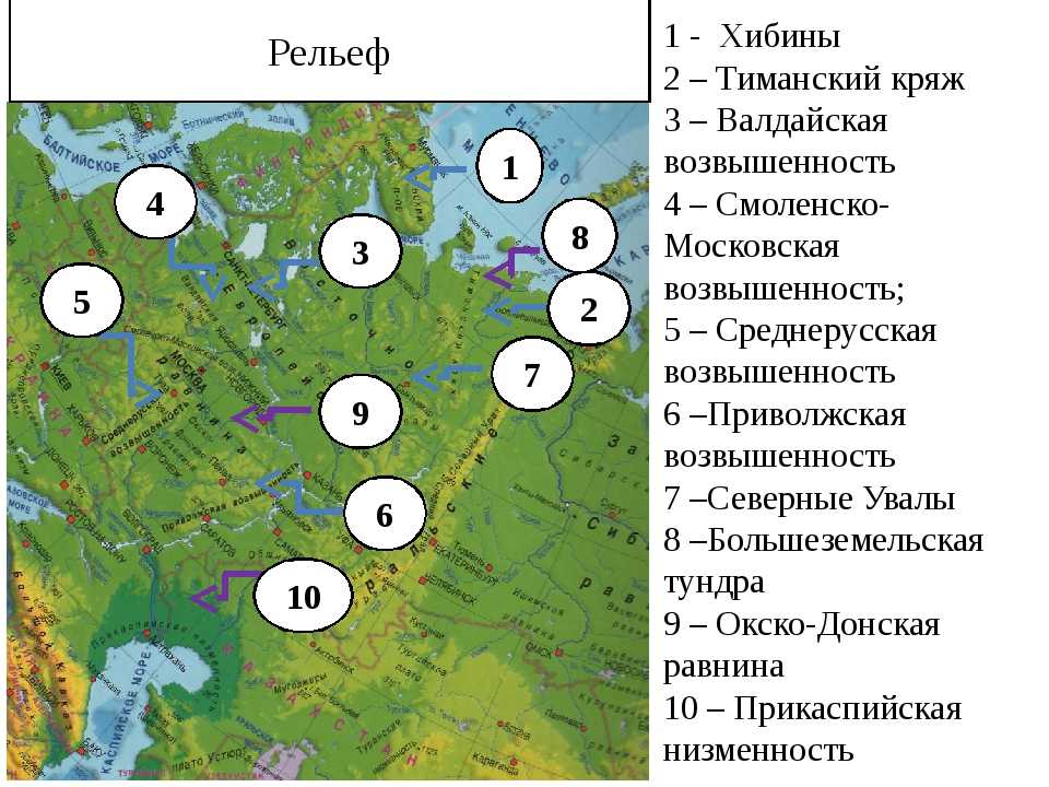 Смоленско московская возвышенность карта