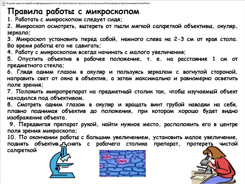 Как правильно пользоваться микроскопом