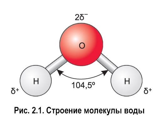 Молекула 104