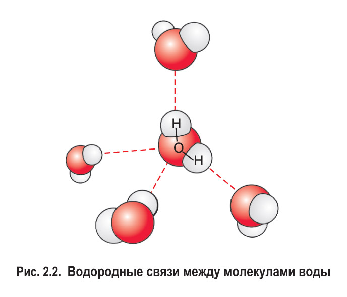 Между молекулами водорода