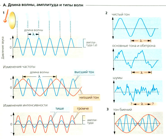 Звук длина волны частота скорость