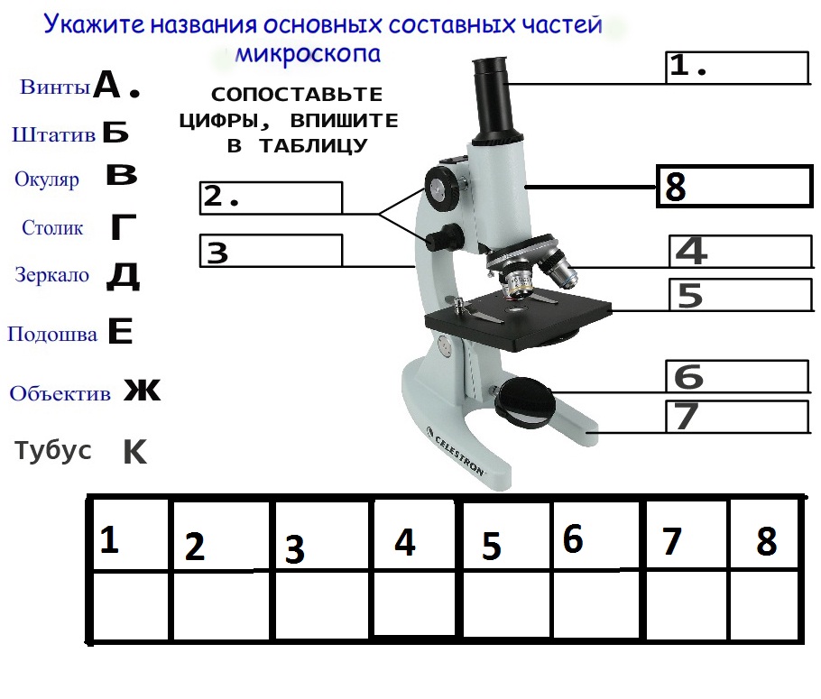 Строение микроскопа 5 класс