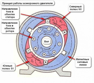 Принцип работы асинхронного двигателя