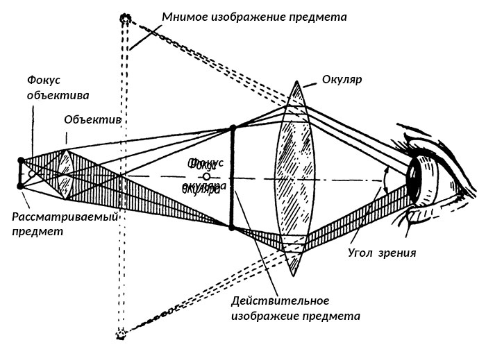 Действие микроскопа. Оптическая схема микроскопа. Оптический микроскоп оптическая схема. Оптическая система микроскопа схема. Схема работы оптического микроскопа.