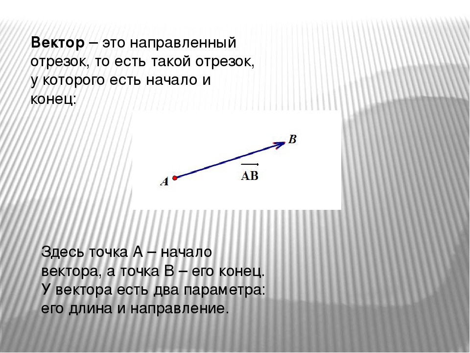 Направленный отрезок. Вектор. Вектор направленный отрезок. Вектор(направленный отрезок) –отрезок.... Направленный вектор.