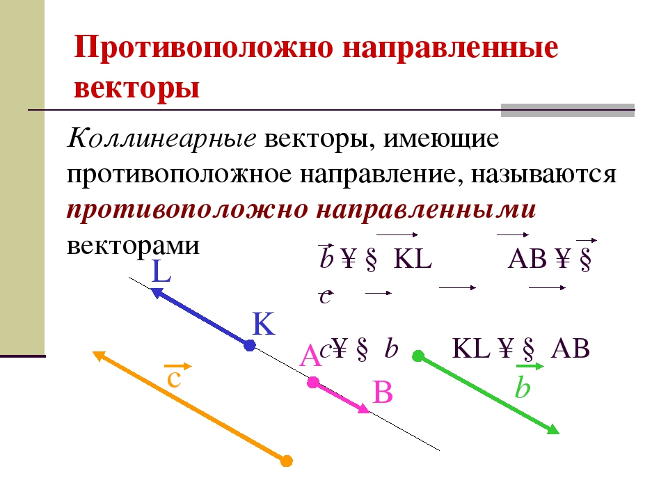 Вектор с и b противоположно направлены. Коллинеарные векторы формула 9 класс. Коллинеарные векторы 10 класс. Понятие вектора коллинеарные векторы 9 класс. Правило сложения коллинеарных векторов.