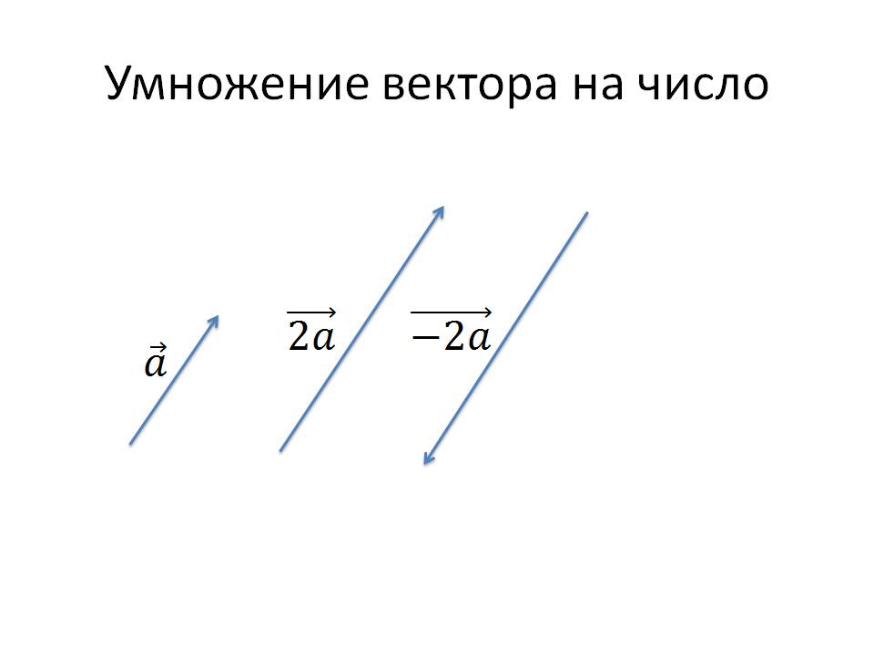 Умножение вектора на число 9 класс презентация мерзляк