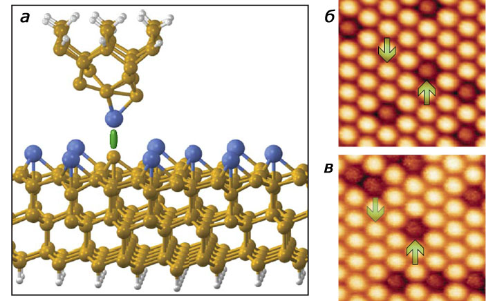 Рис. 6. Сила взаимодействия зонда АСМ с различными атомами  и результаты исследования поверхности («Химия и жизнь» №5, 2017) 