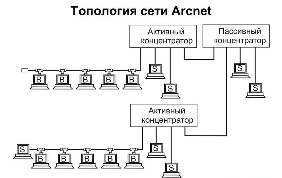 Структура локальной сети Arcnet