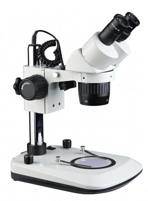 как нарисовать световой микроскоп