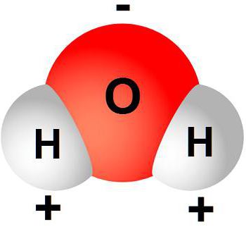 из каких молекул состоит вода