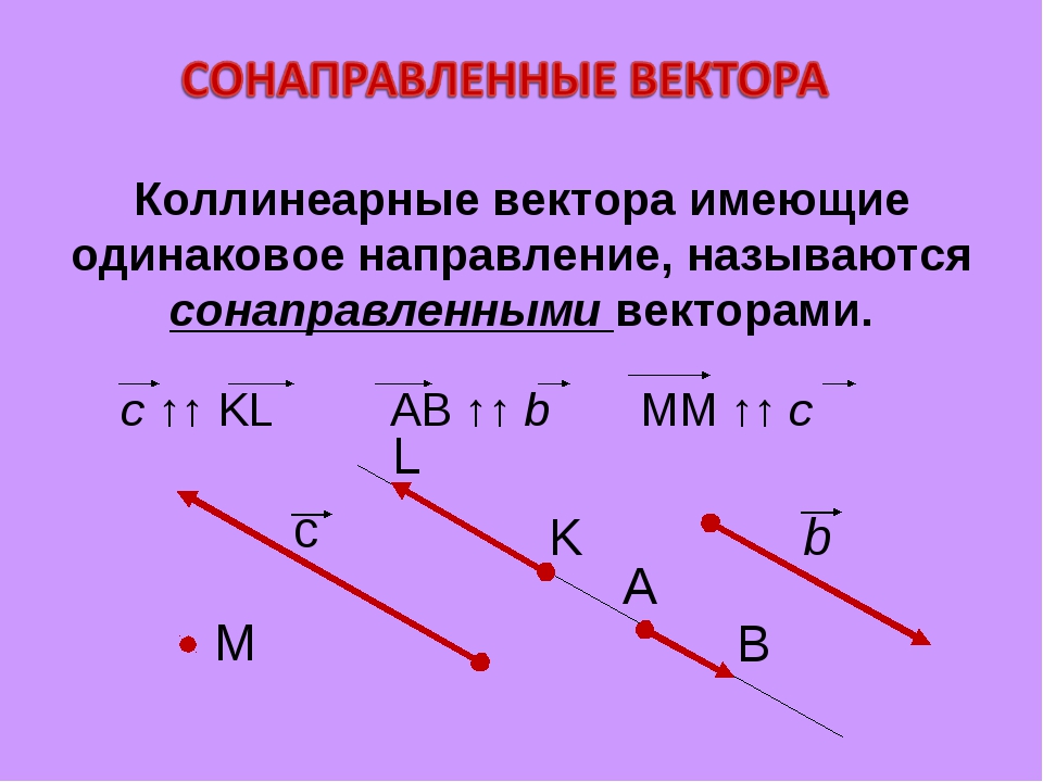 Сонаправленные векторы. Коллинеарные векторы сонаправленные и противоположно направленные. Коллинеарные вкектора. Коллинеалтнве вкуюкторы. Коллинеарные вектораю.