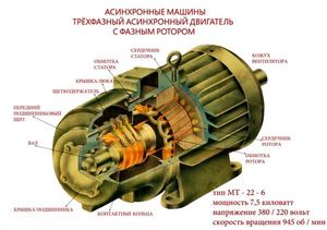 Строение ротора асинхронного двигателя