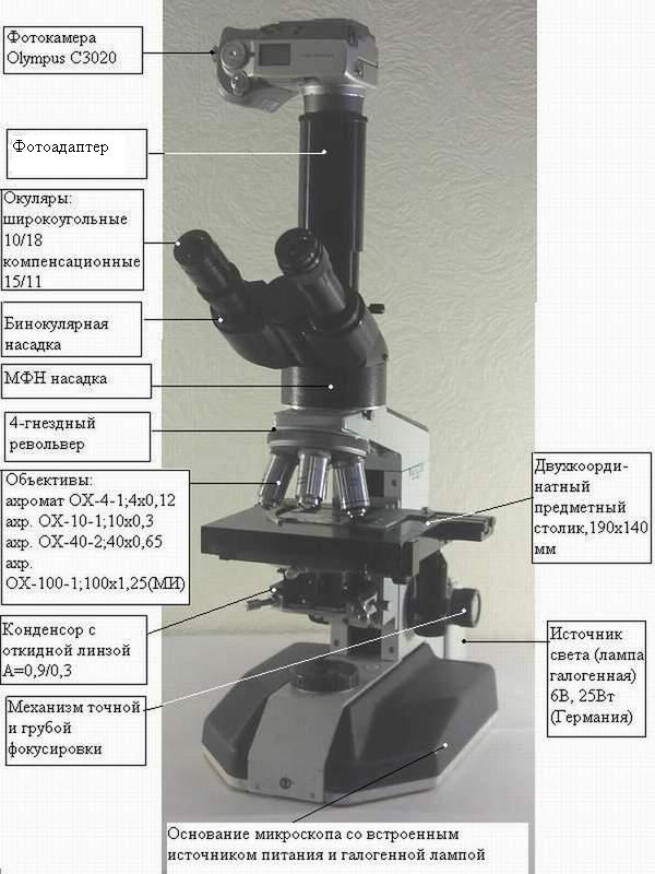 Зачем микроскопу тубус. Световой микроскоп Микмед. Микроскоп Микмед-5 из чего состоит. Части микроскопа Микмед 5. Микмед 2.