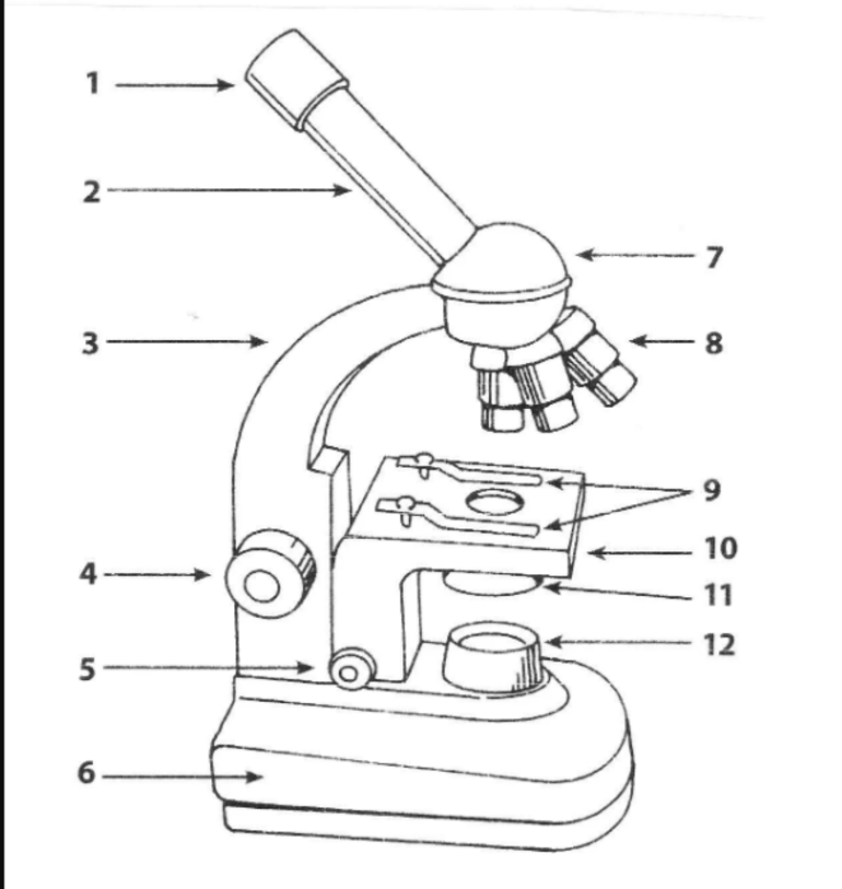 Строение микроскопа 