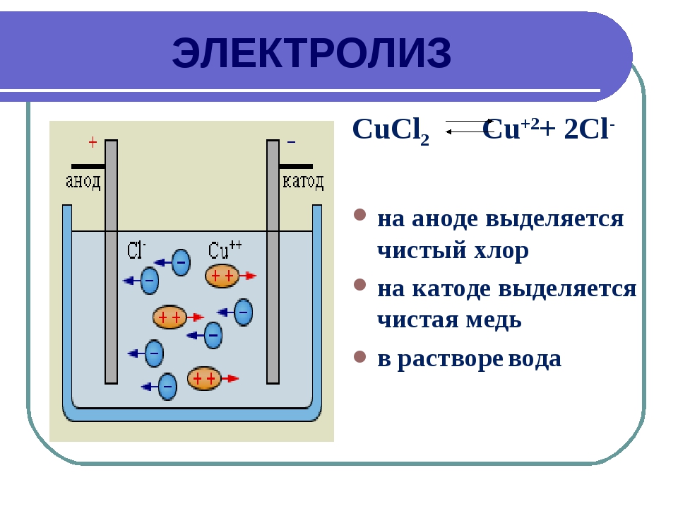 Электролизом расплава какой металл. Электроды в химии анод катод. Cucl2 катод и анод. Электролиз cucl2 раствор. Водный электролиз cucl2.
