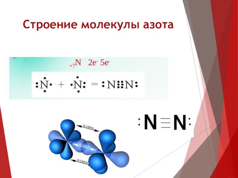 Молекула азота состоит. Строение молекулы азота электронная формула. Строение молекулы азота химическая формула. Электронная схема образования молекулы азота. Схема образования химической связи в молекуле азота.