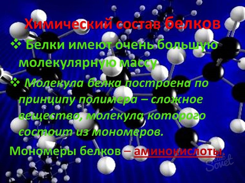 Понятие молекула. Молекулы белков имеют очень большую молекулярную массу. Молекулы белков построены из. Молекула белка полимер мономером. Белки обладают большой молекулярной массой.