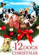 The 12 Dogs of Christmas