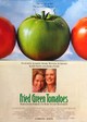 Fried Green Tomatoes